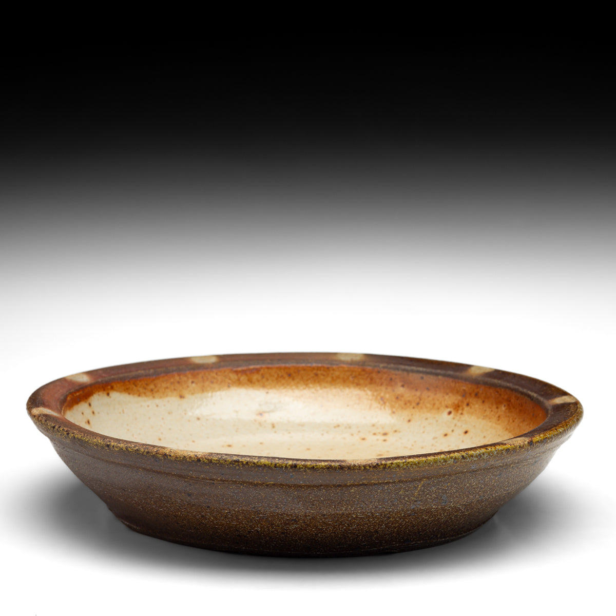 Dish