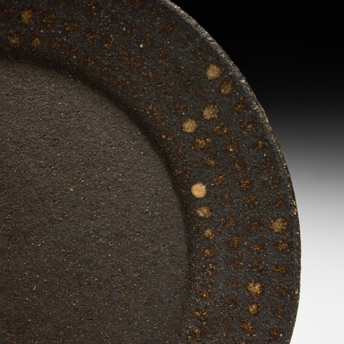 Lunch Plate