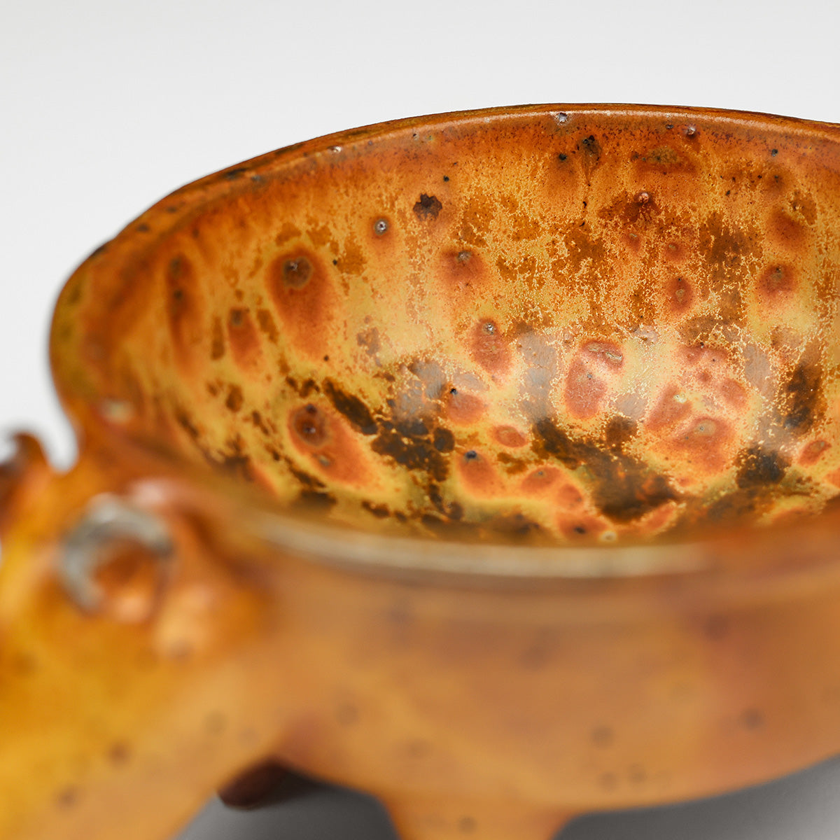 Tapir Bowl