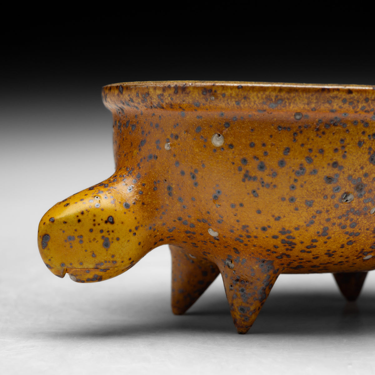 Turtle Bowl
