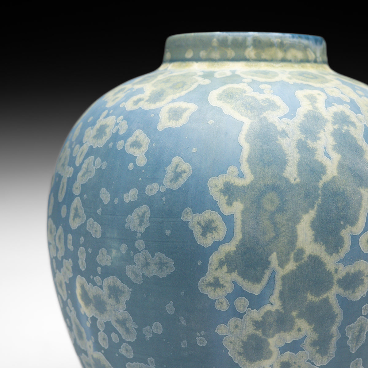 Delphinium Vase