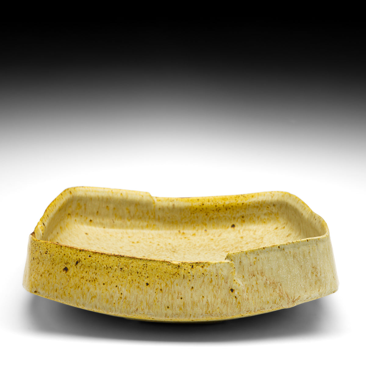 Square Dish