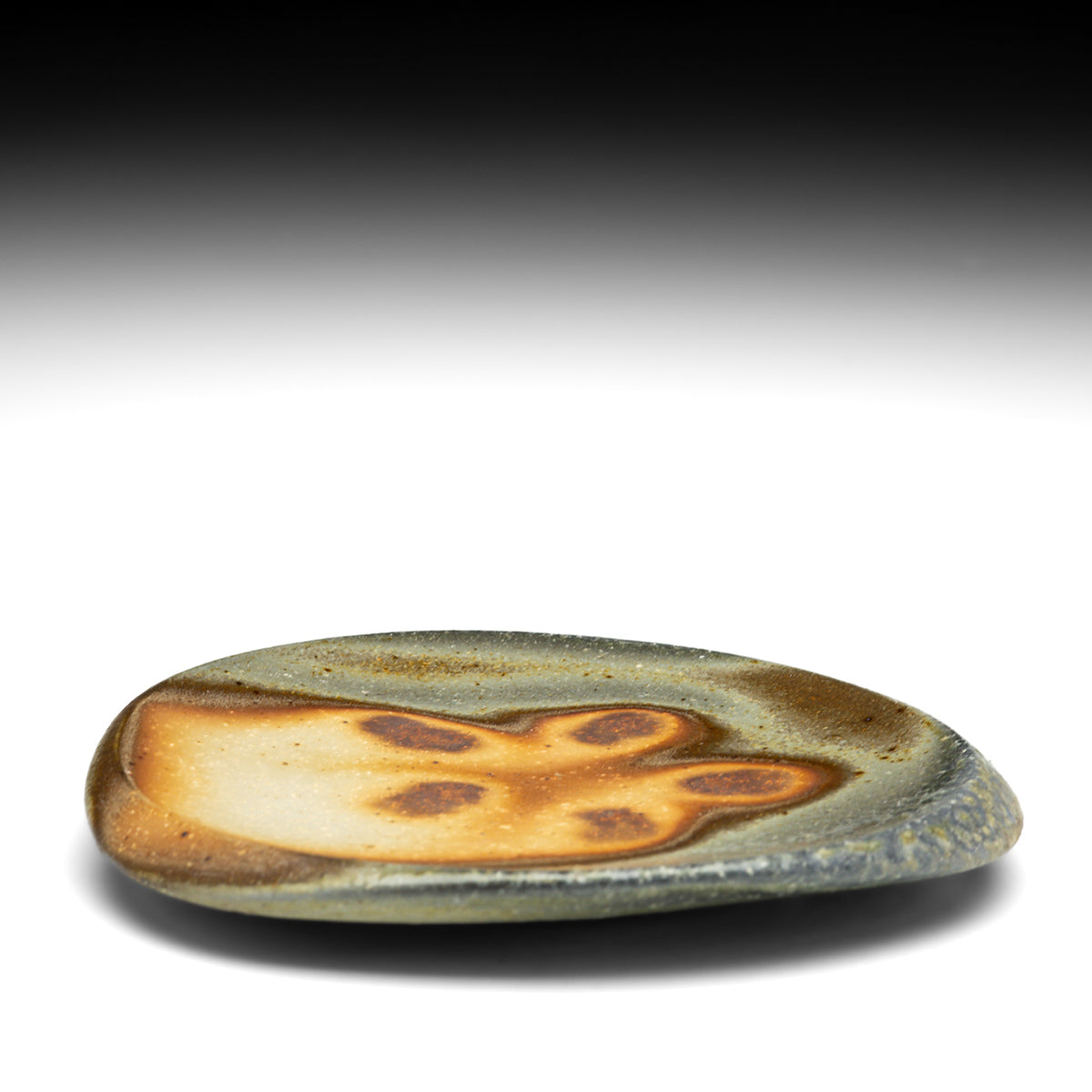 Lunch Plate