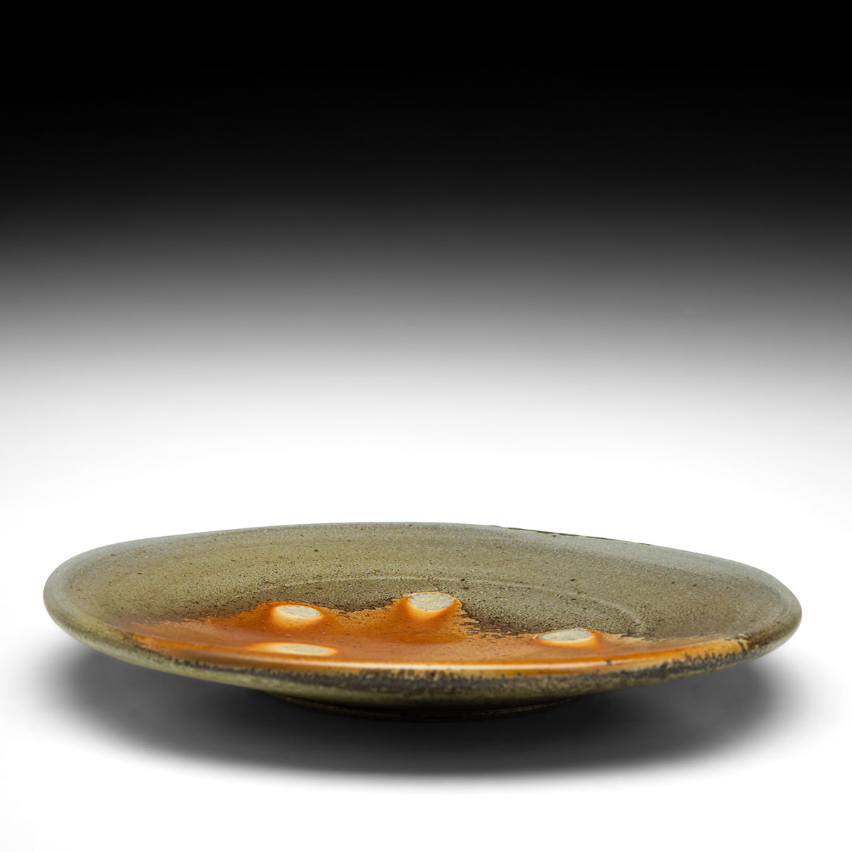 Dinner Plate