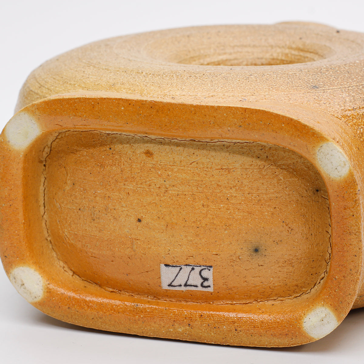 Flattened Vase with Shoulder Nubs