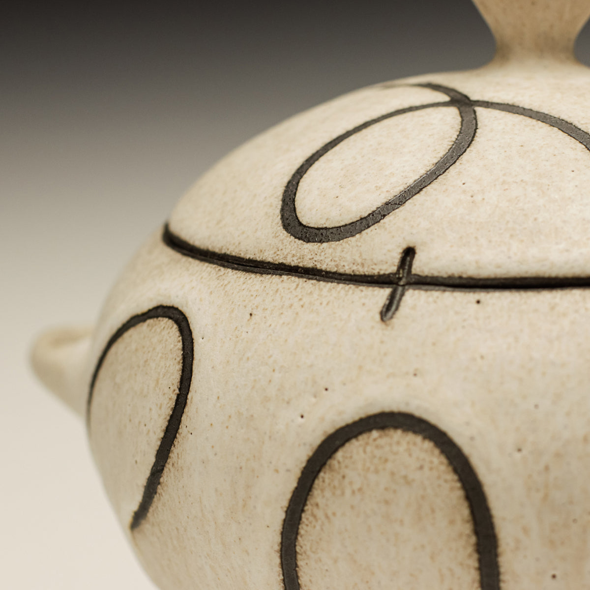 Covered Serving Dish