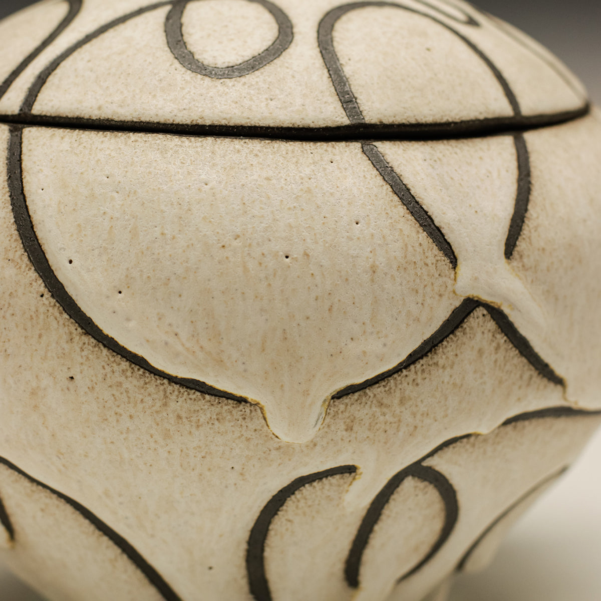 Covered Serving Dish