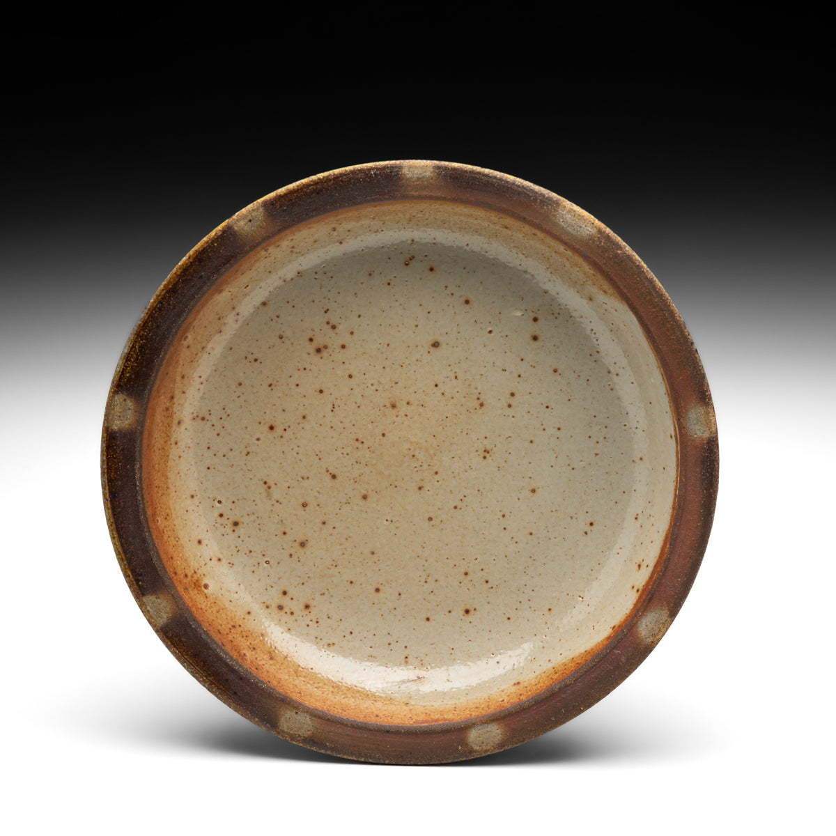 Dish