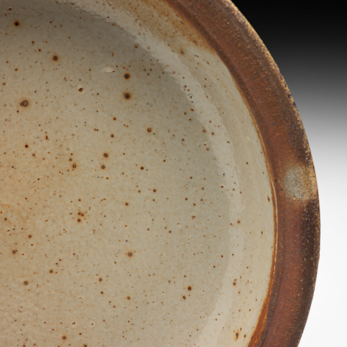 Dish