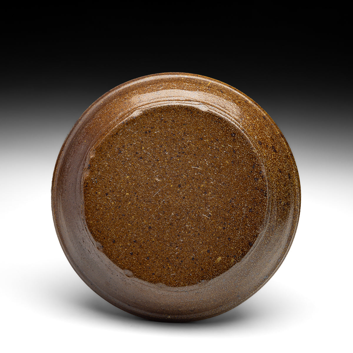 Dish
