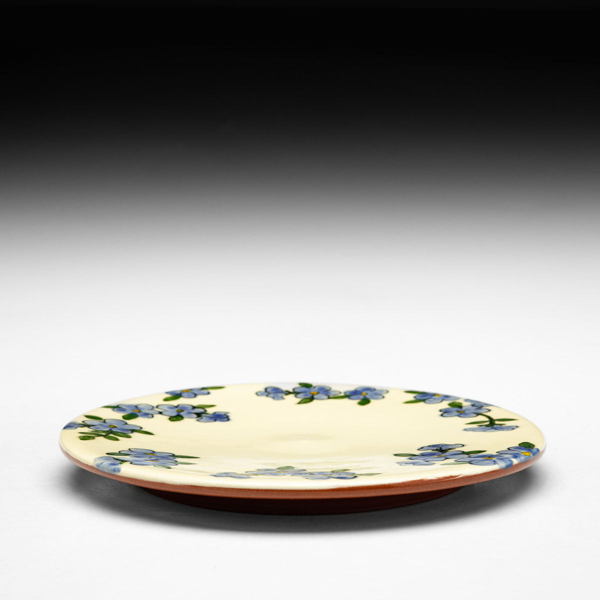 Lunch Plate