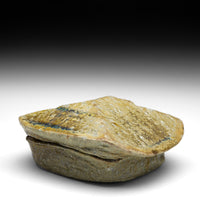Previous Product