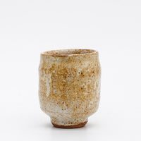 Previous Product
