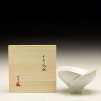 Previous Product