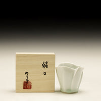 Previous Product
