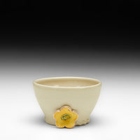 Previous Product