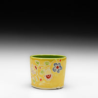 Previous Product