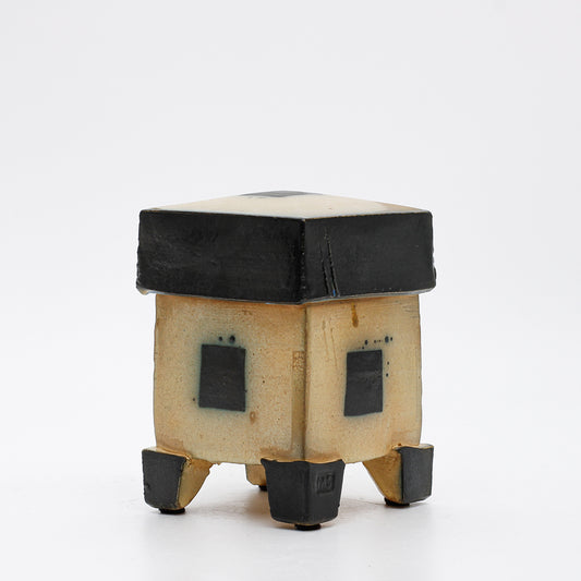 Box in the Persian Style