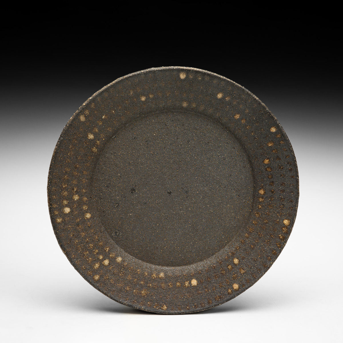 Lunch Plate