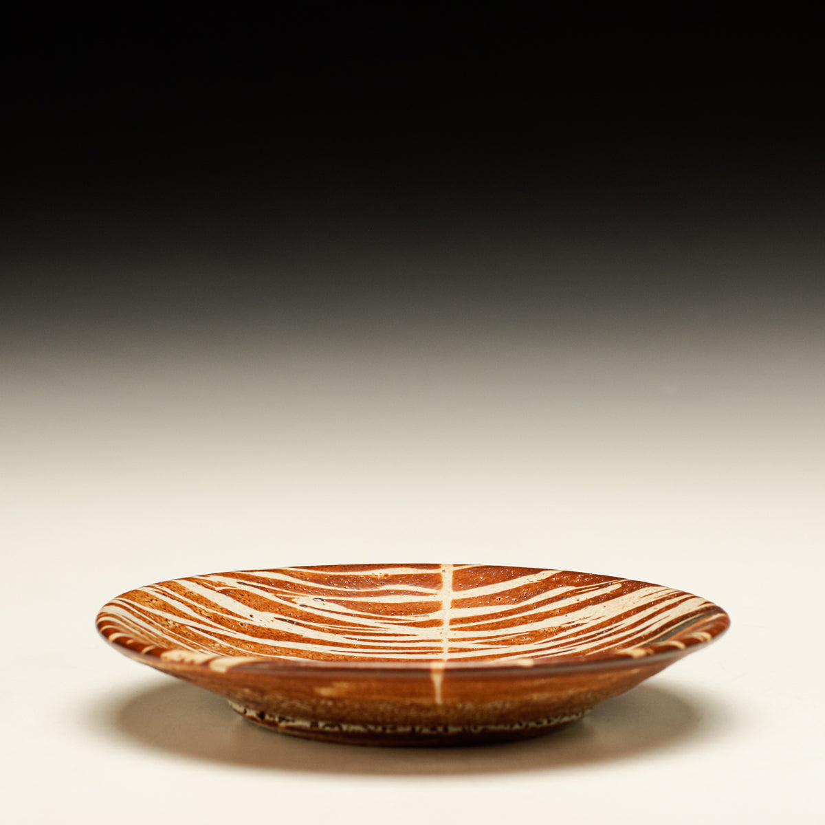 Lunch Plate