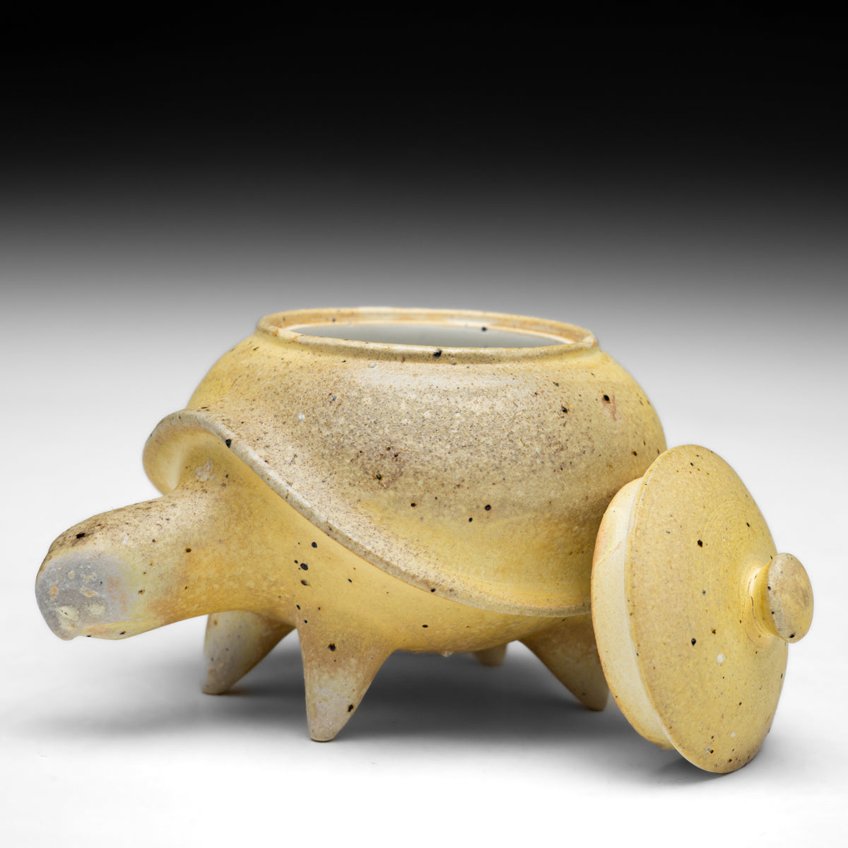 Turtle Jar