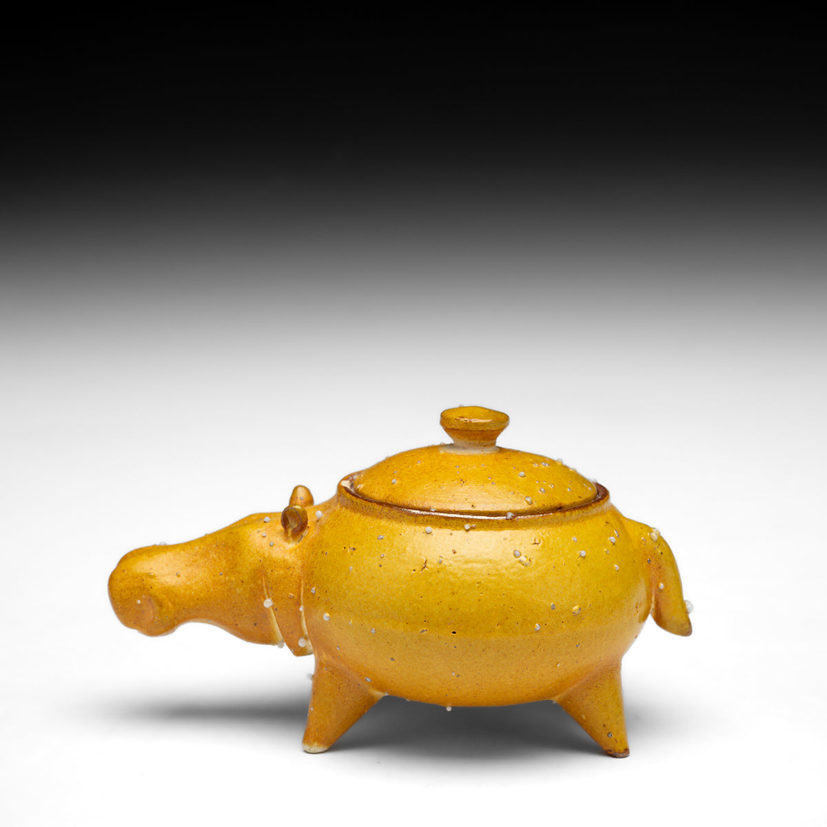 Hippo Jar