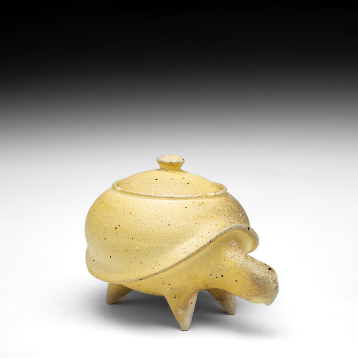 Turtle Jar