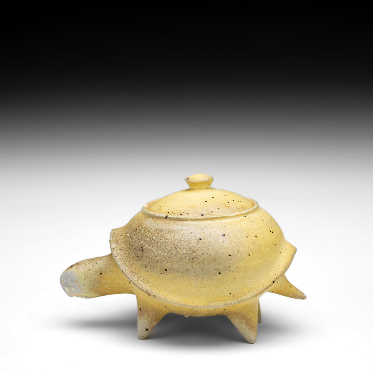 Turtle Jar