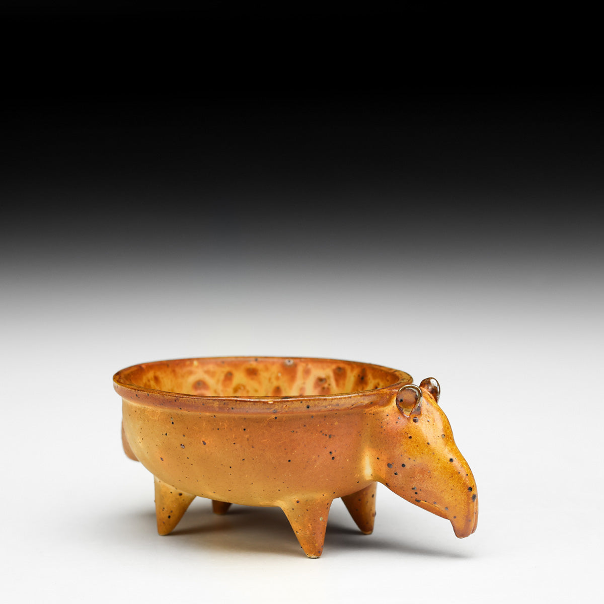 Tapir Bowl