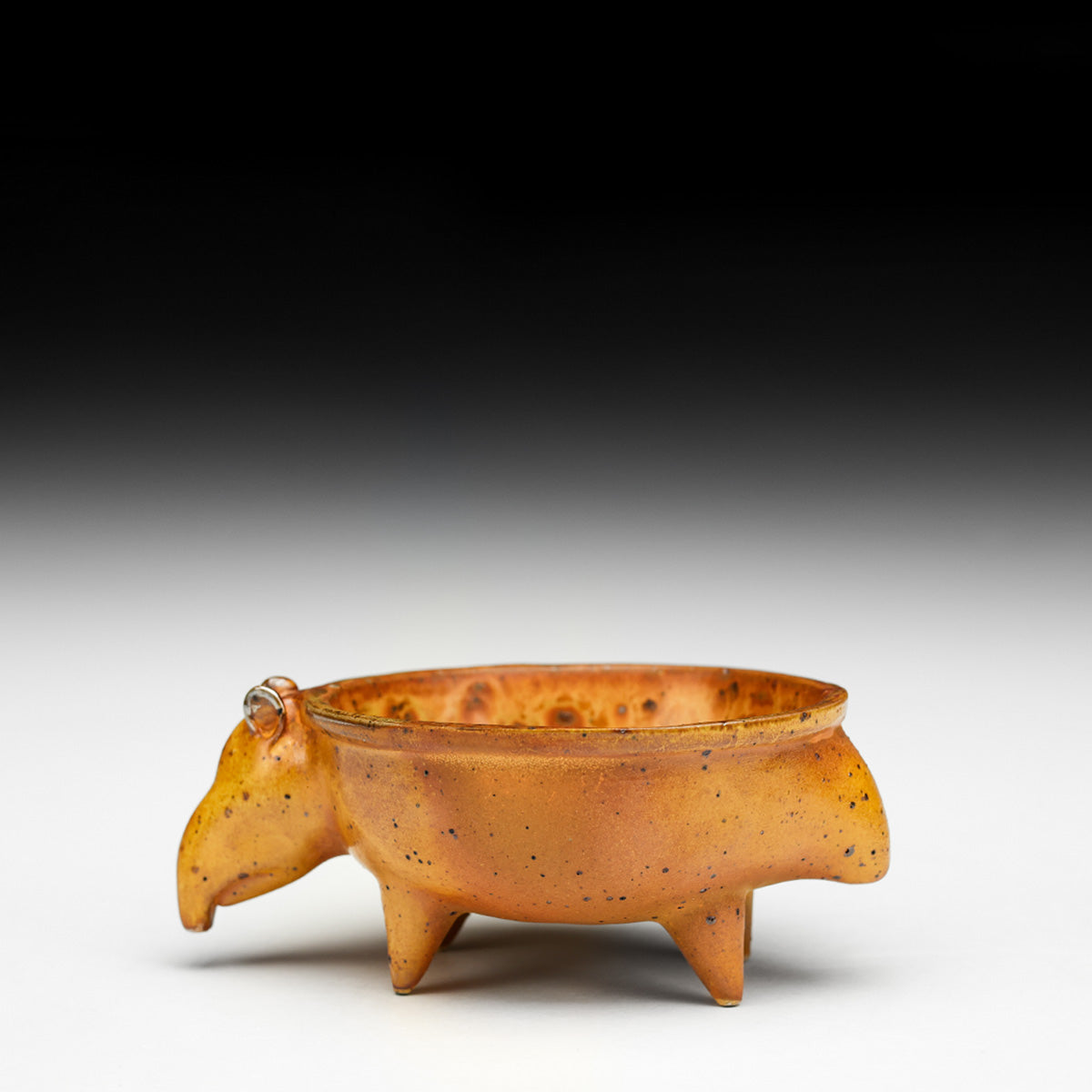 Tapir Bowl