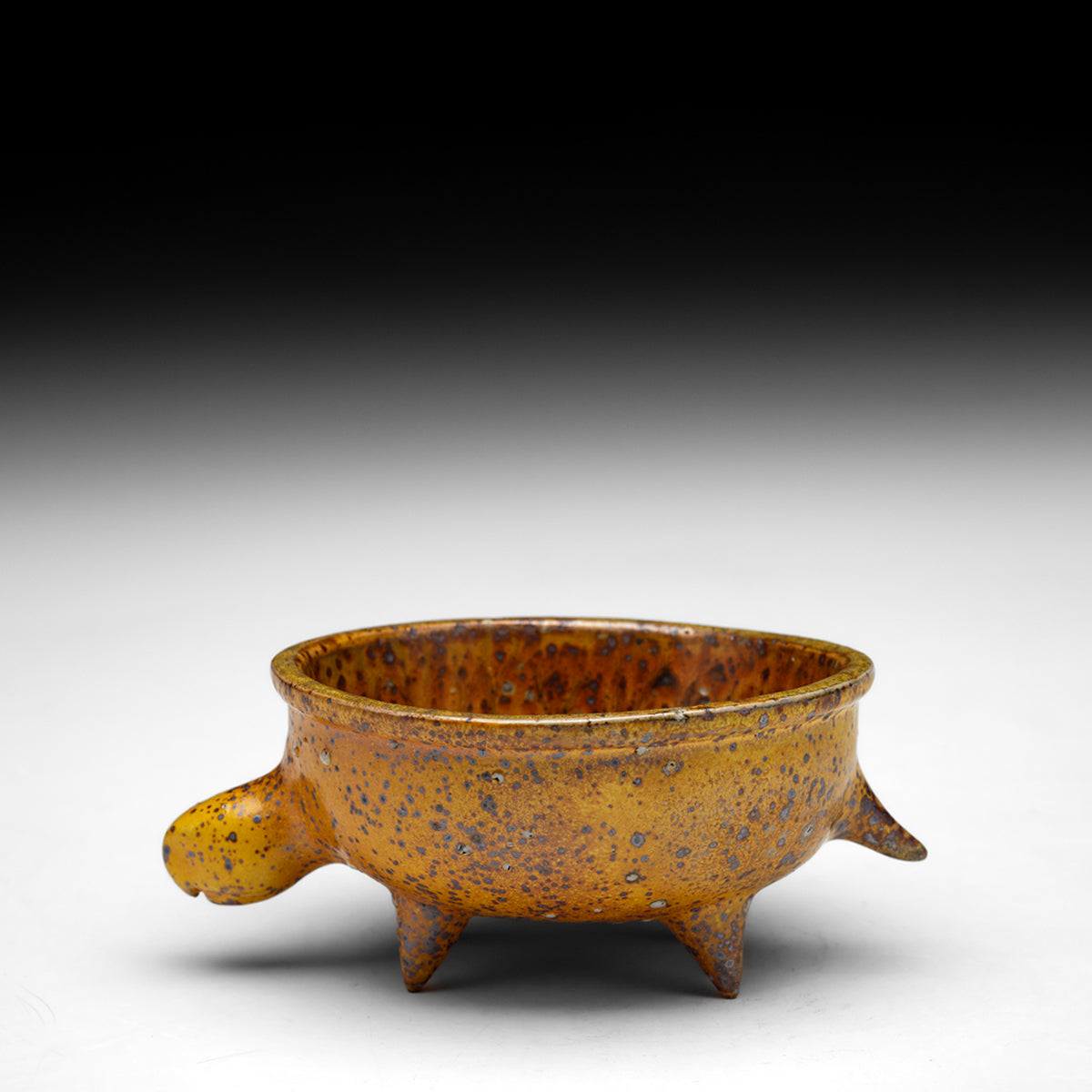 Turtle Bowl
