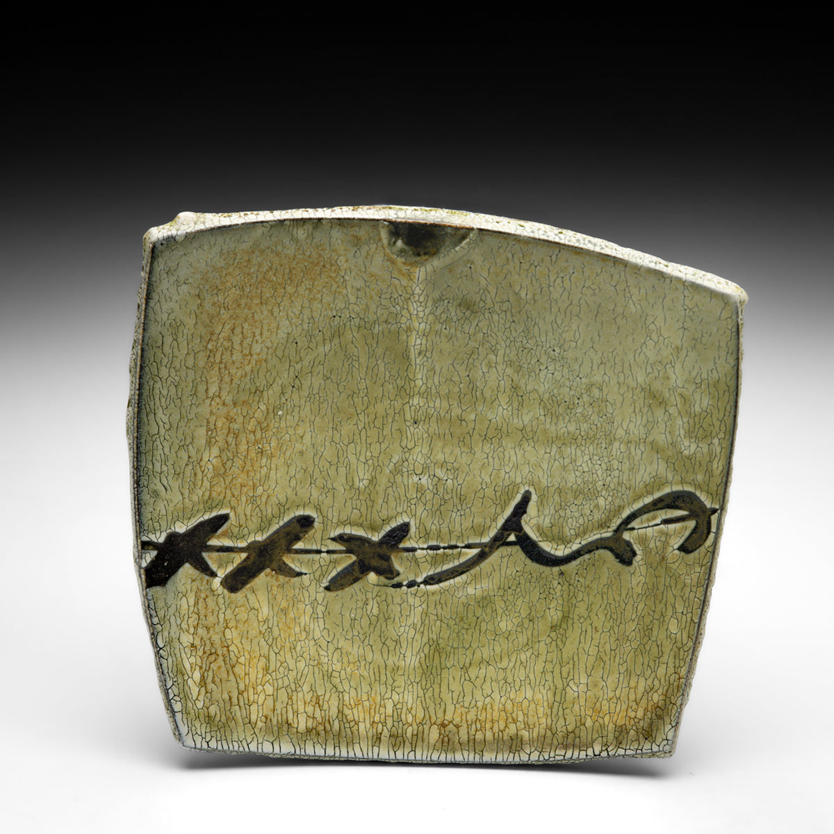 Barbed Wire Plate