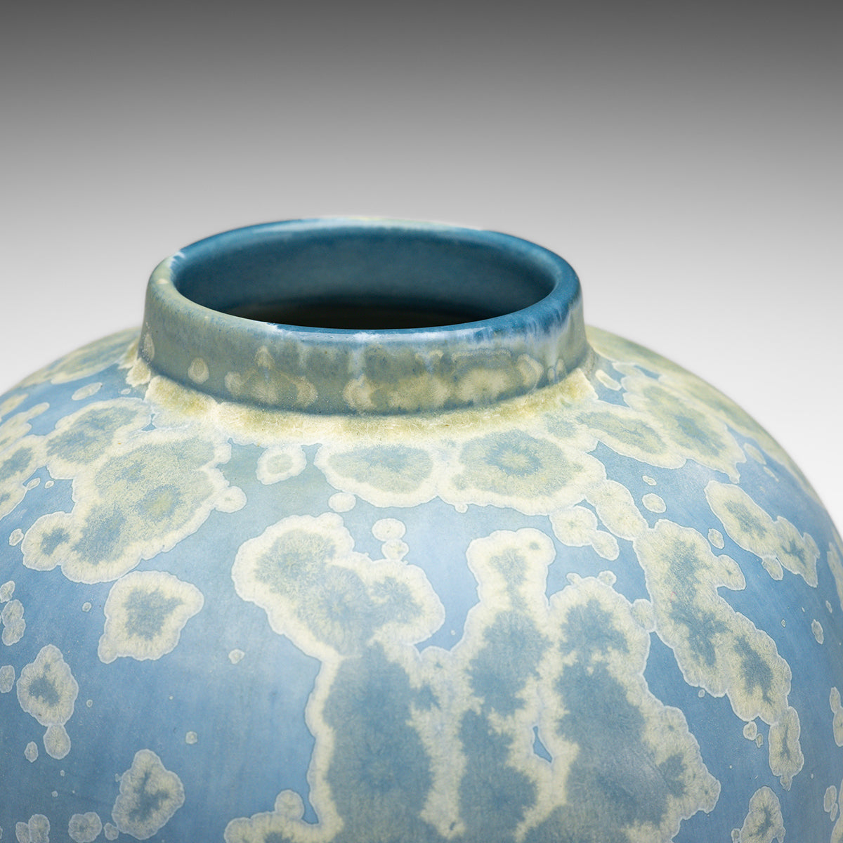 Delphinium Vase