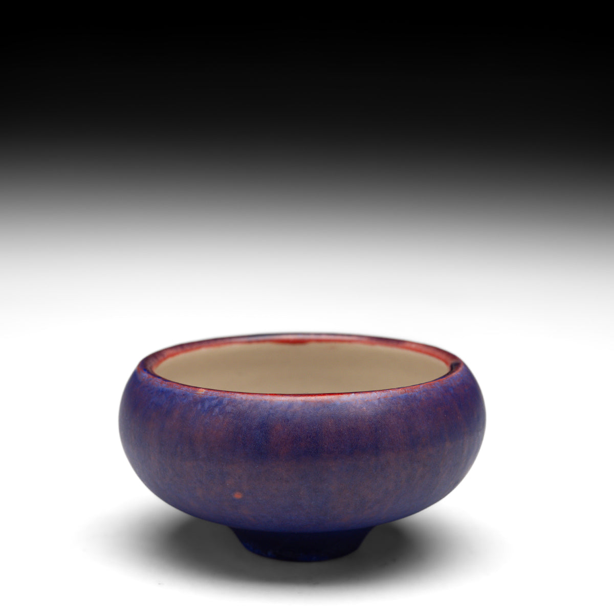 Sparkle Purple Mini Bowl