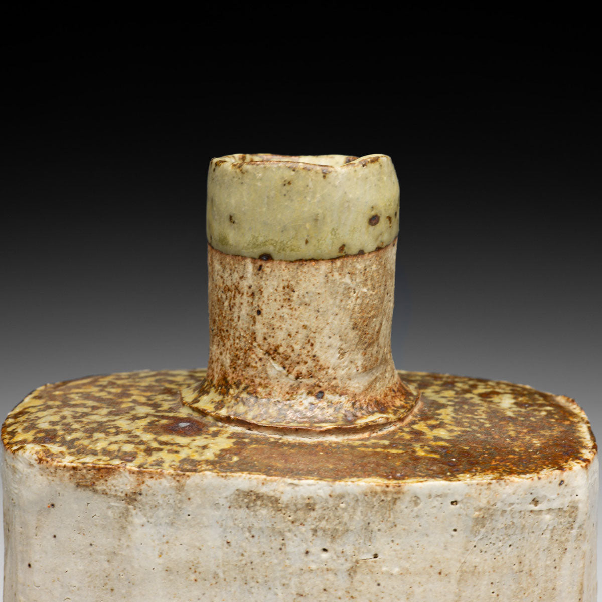 Bottle Vase