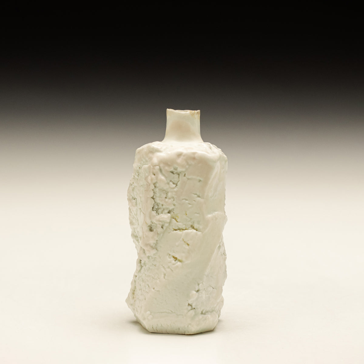 Sake Bottle