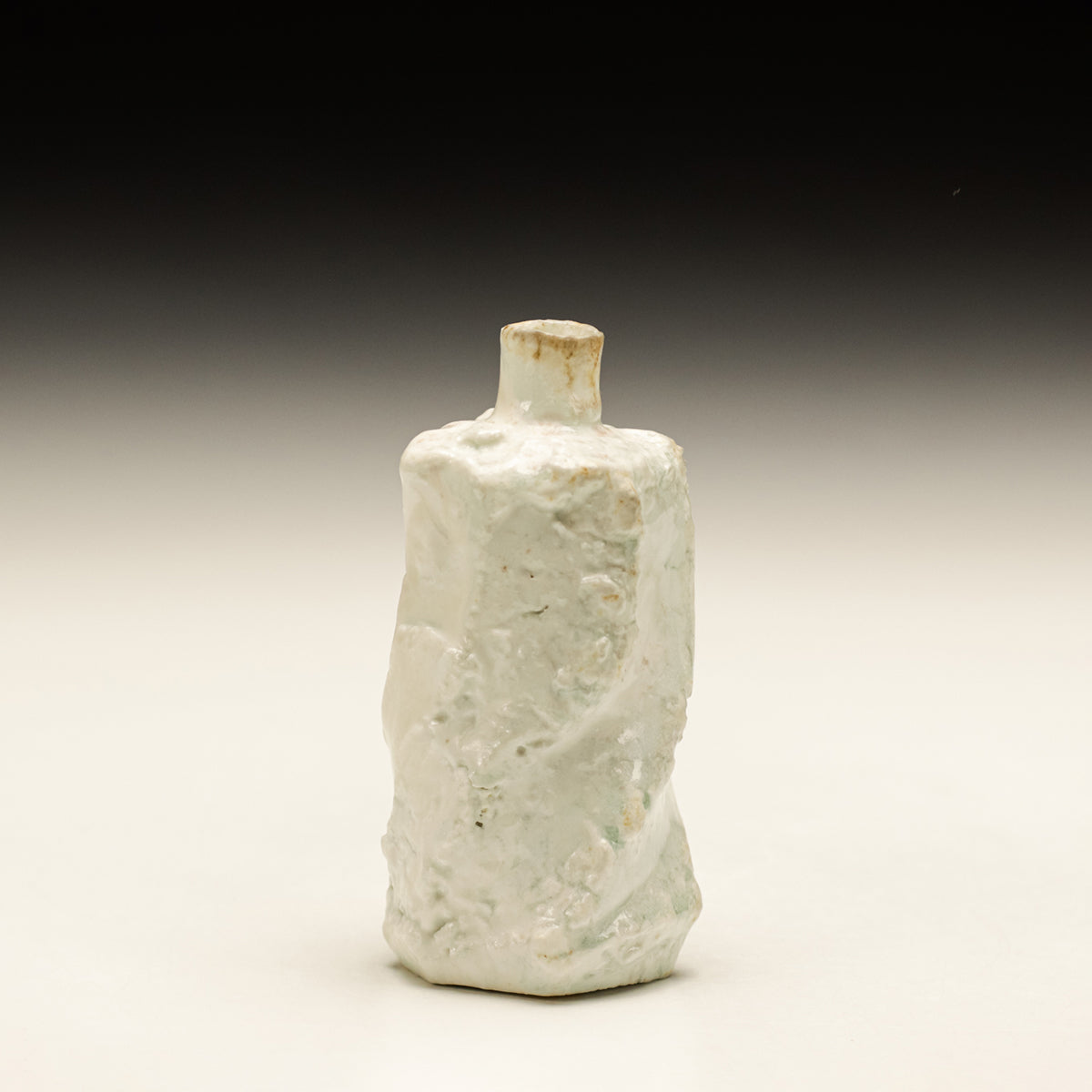 Sake Bottle