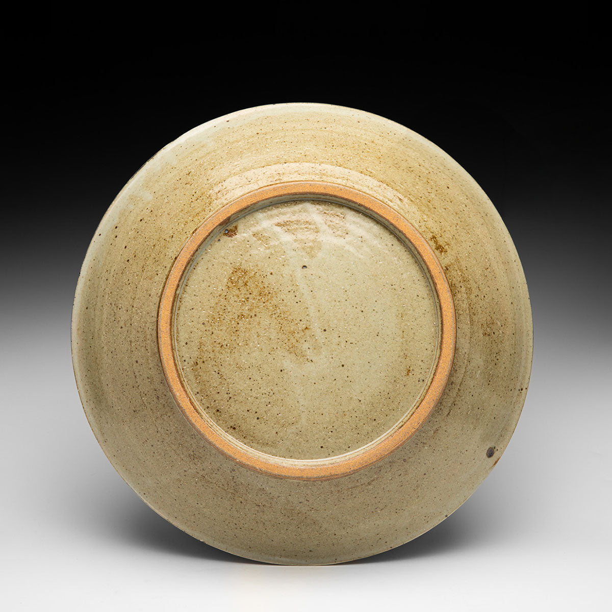Large Plate