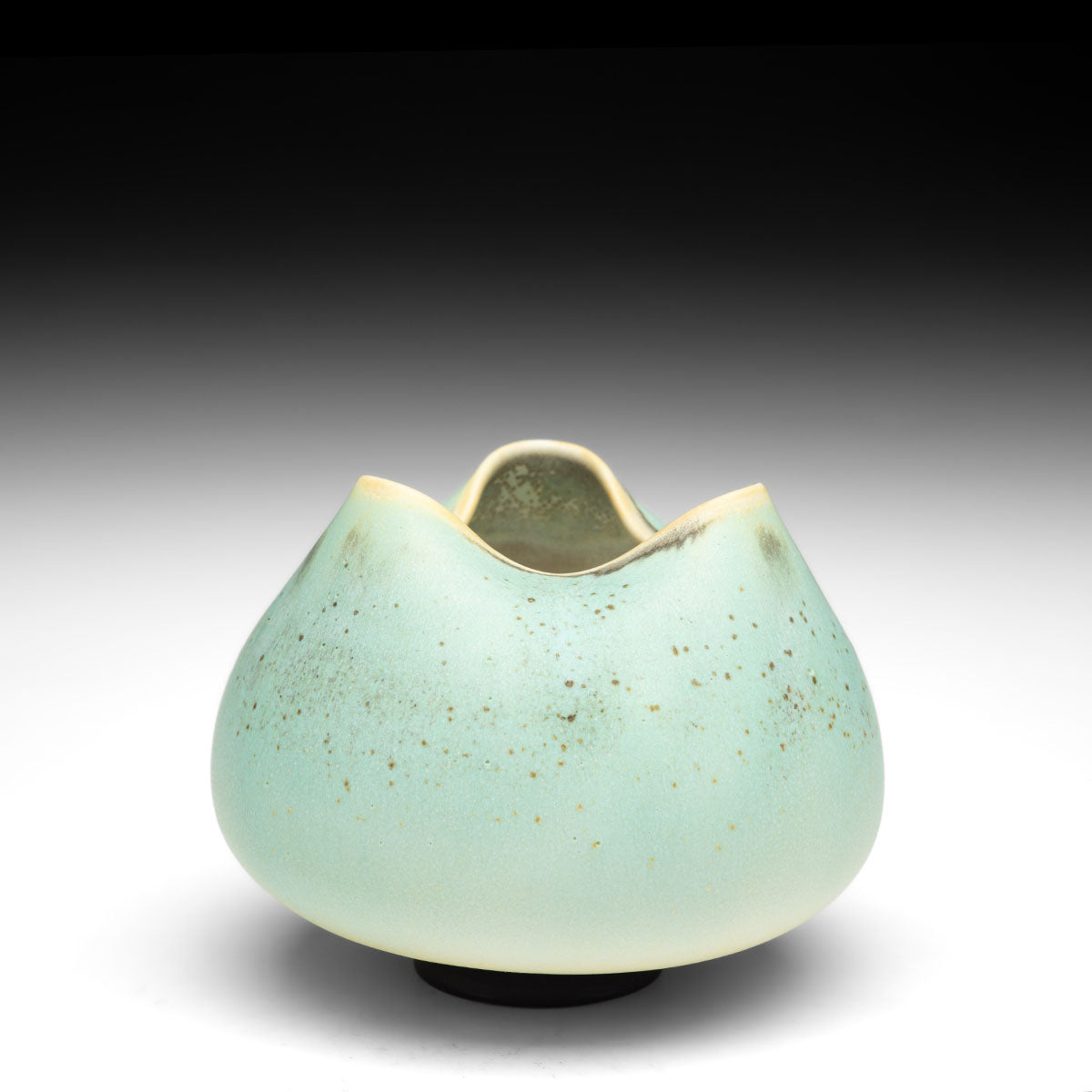 Tea Bowl