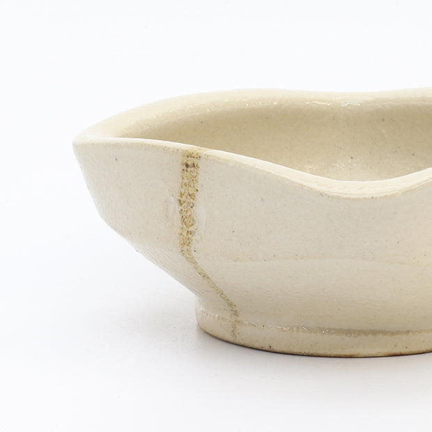 Dish