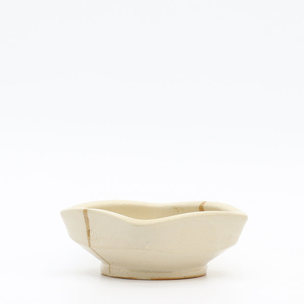 Dish