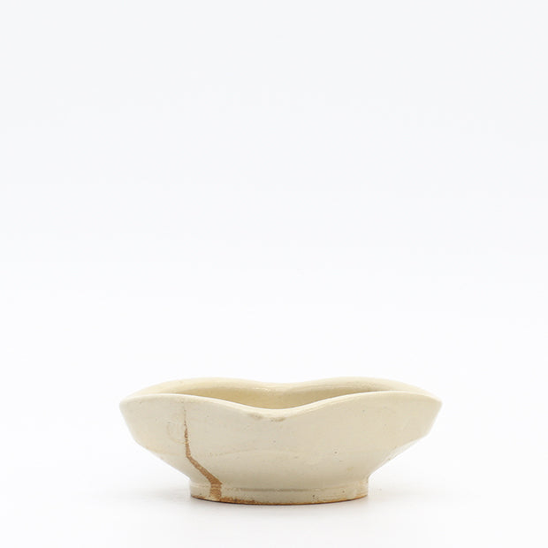 Dish