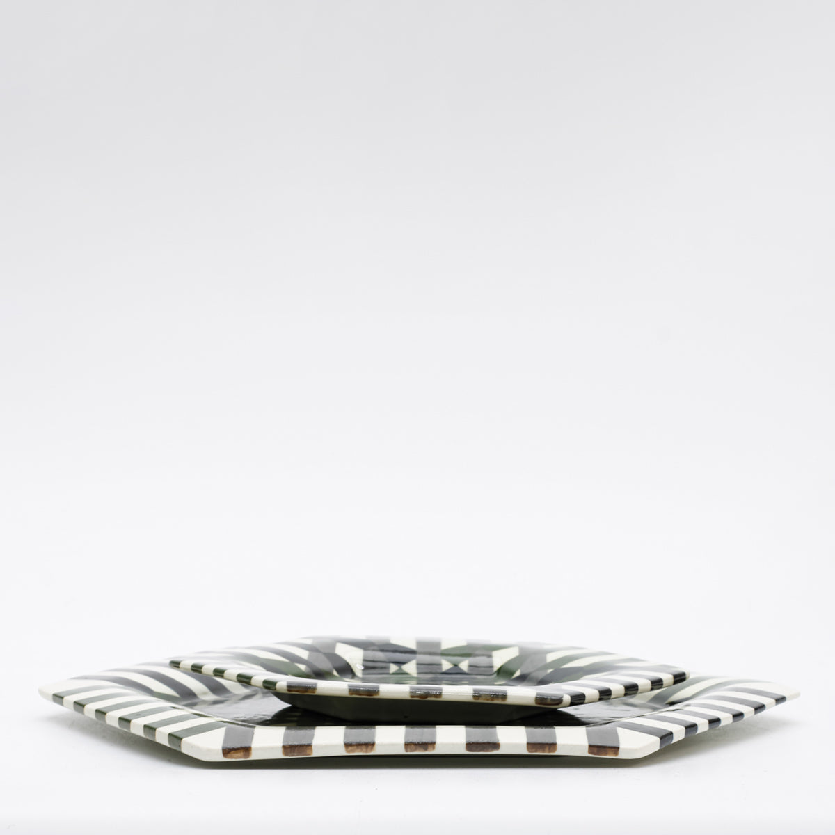 Dinner & Lunch Plate