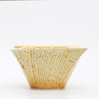 Previous Product