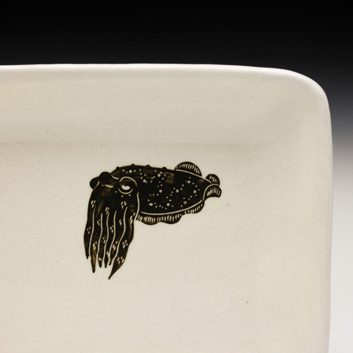 Cuttlefish Plate