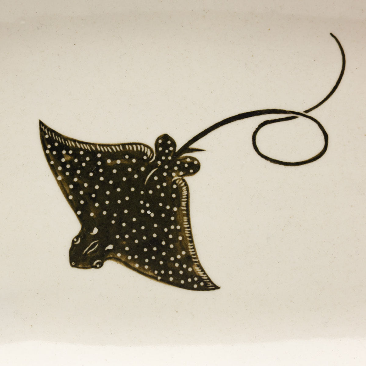 Stingray Plate