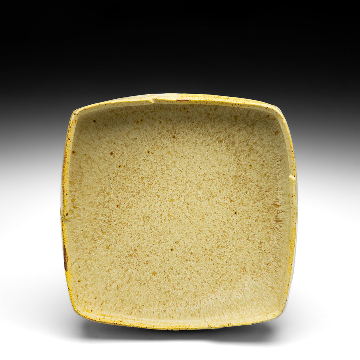 Square Dish