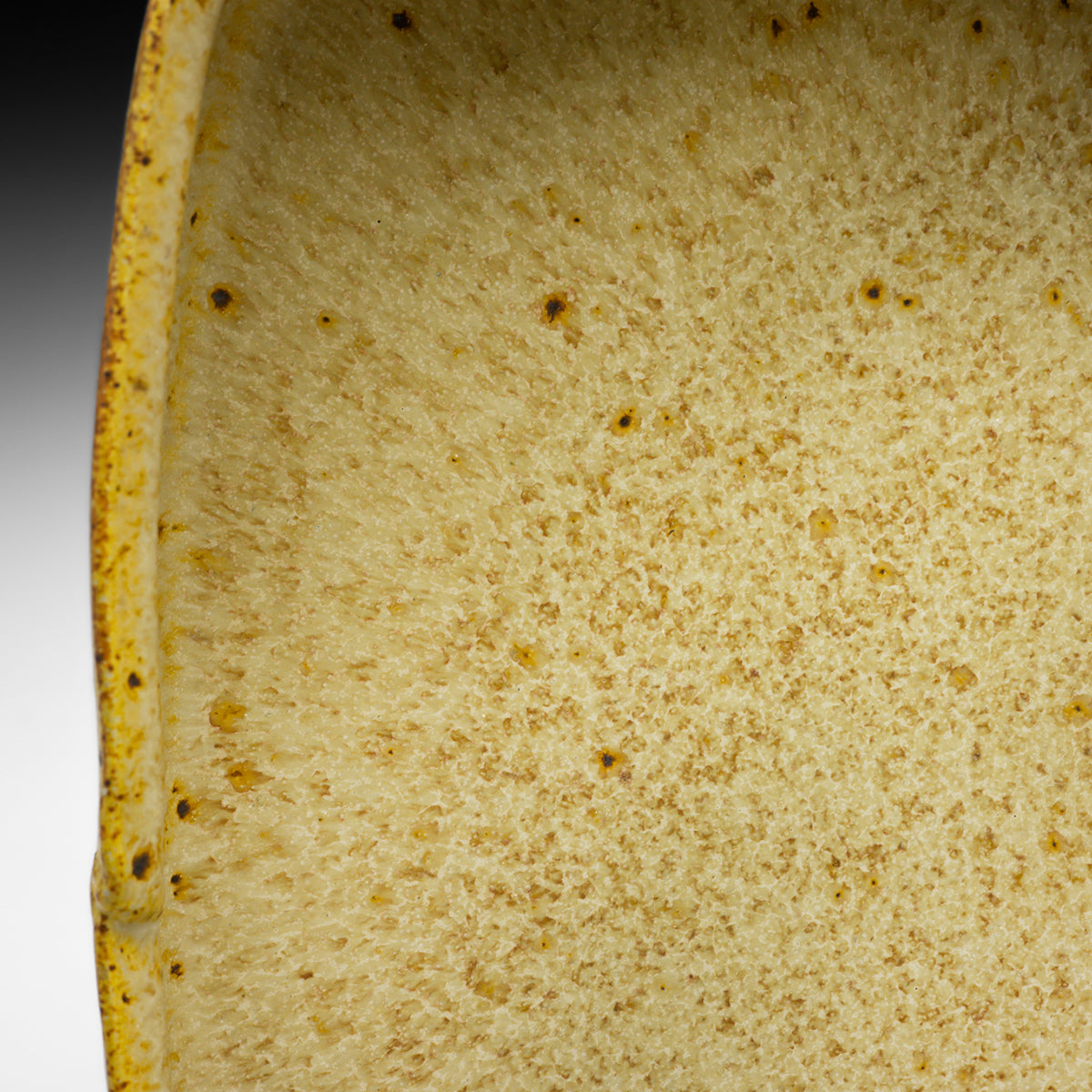 Square Dish