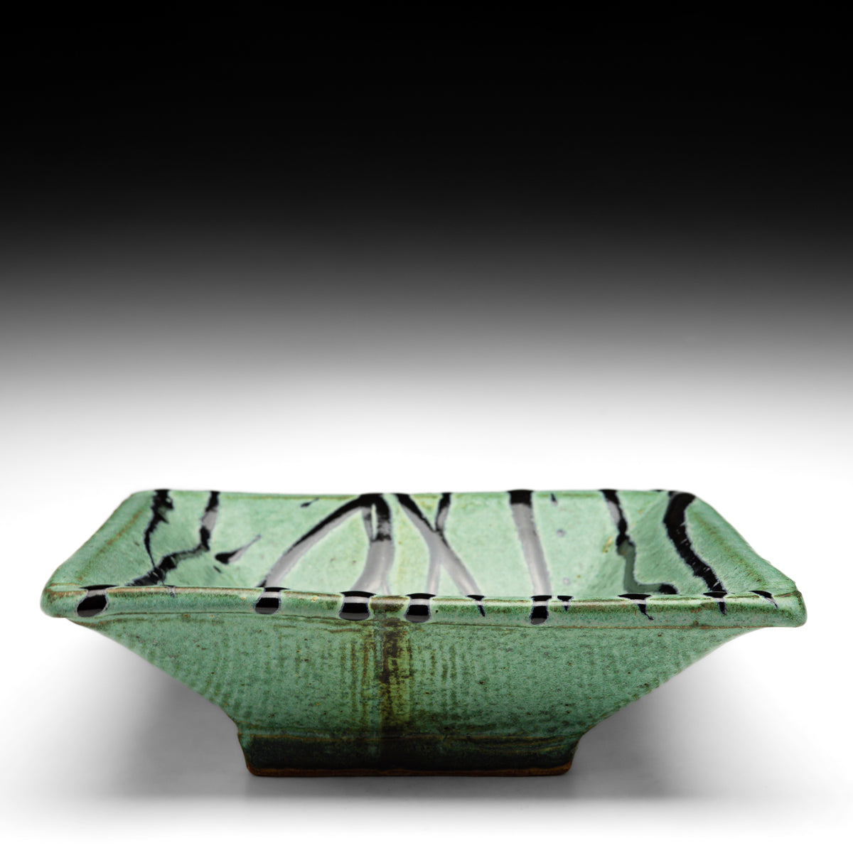 Square Dish