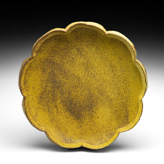 Platter